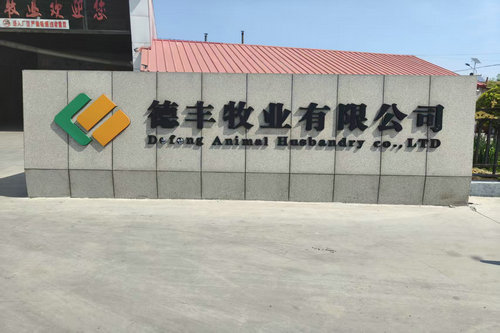 公司简介